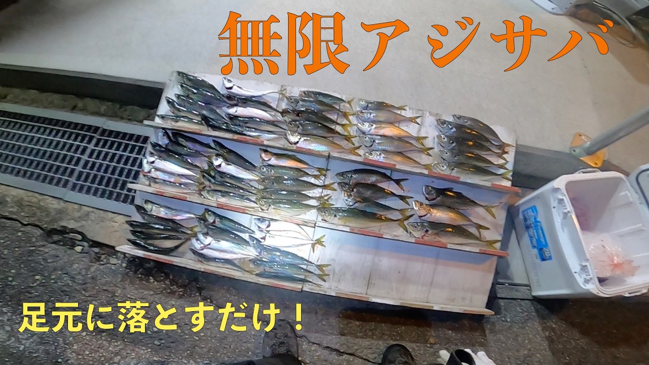 【日本海・浜田市三隅火電波止】サビキで狙うサバとデカアジ！これが冬の入れ食いモードだ！【広ヲタ釣り部】