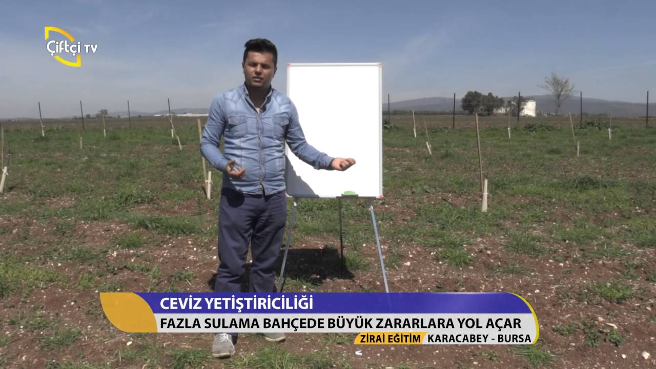 Zirai Eğitim/Cevizde Gübreleme ve Sulama Programları