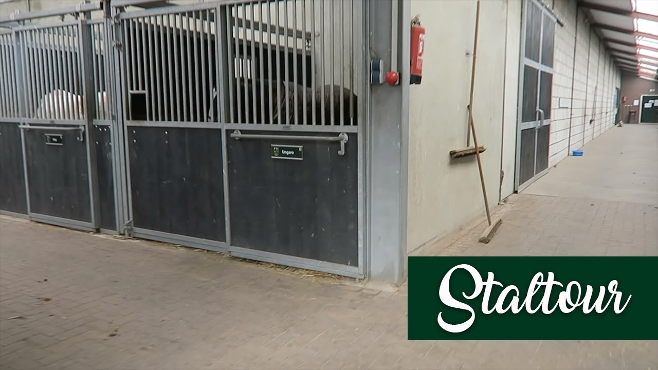 STALTOUR - Manege 't Halster