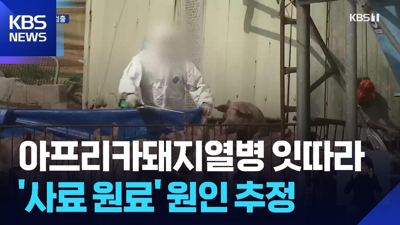 전남 아프리카돼지열병 잇따라…사료 원료서 유전자 검출 / KBS  2026.02.23.