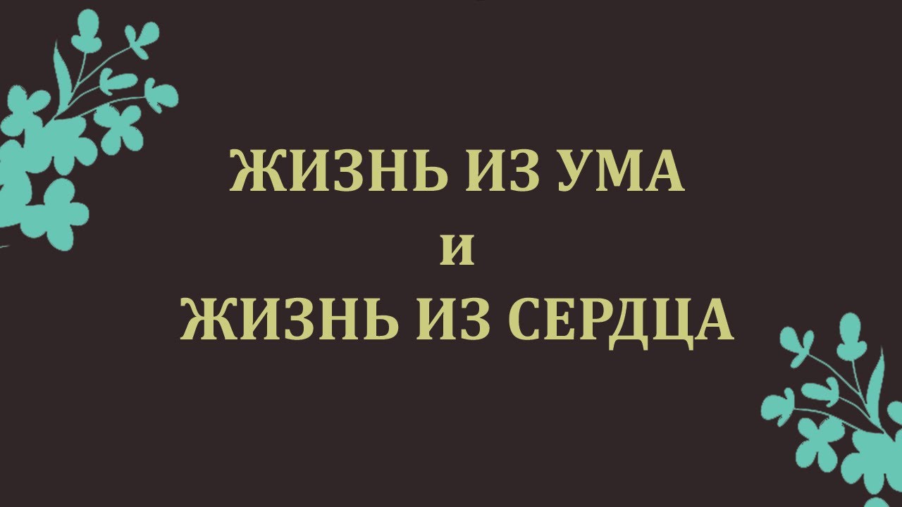 Примеры двух жизней, жизни из ума и жизни из сердца