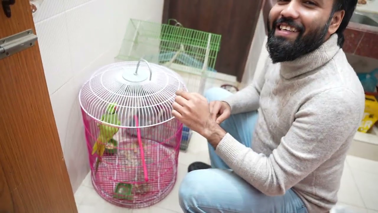 শখের পাখির ডিম্ গুলো নষ্ট হয়ে গেছে। ডিমের হাড়ি পরিষ্কার করতে গিয়ে পাখির কান্না দেখলাম !