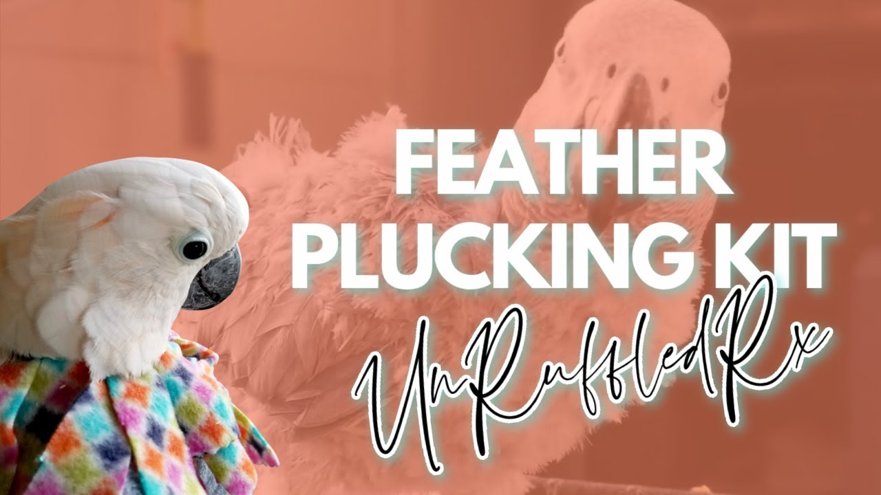Complete Feather Plucking Kit