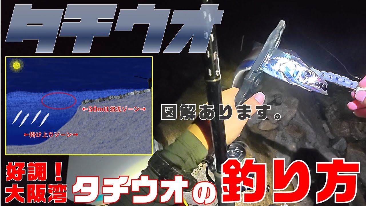 【タチウオ釣り】大阪湾のタチウオの釣り方。＜大阪湾釣り＞