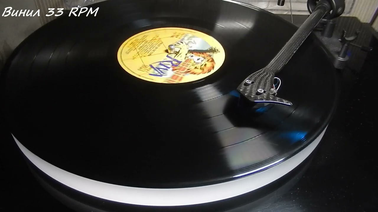 Rod Stewart Big Bayou vinyl