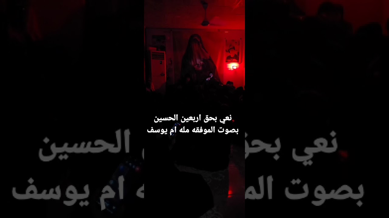نعي  بحق رجوع زينب الى كربلاء//بصوت مله ام يوسف