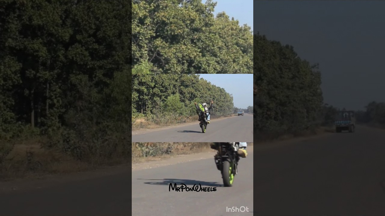 Pulsar 220 wheelie #youtubeshorts #shorts #viral