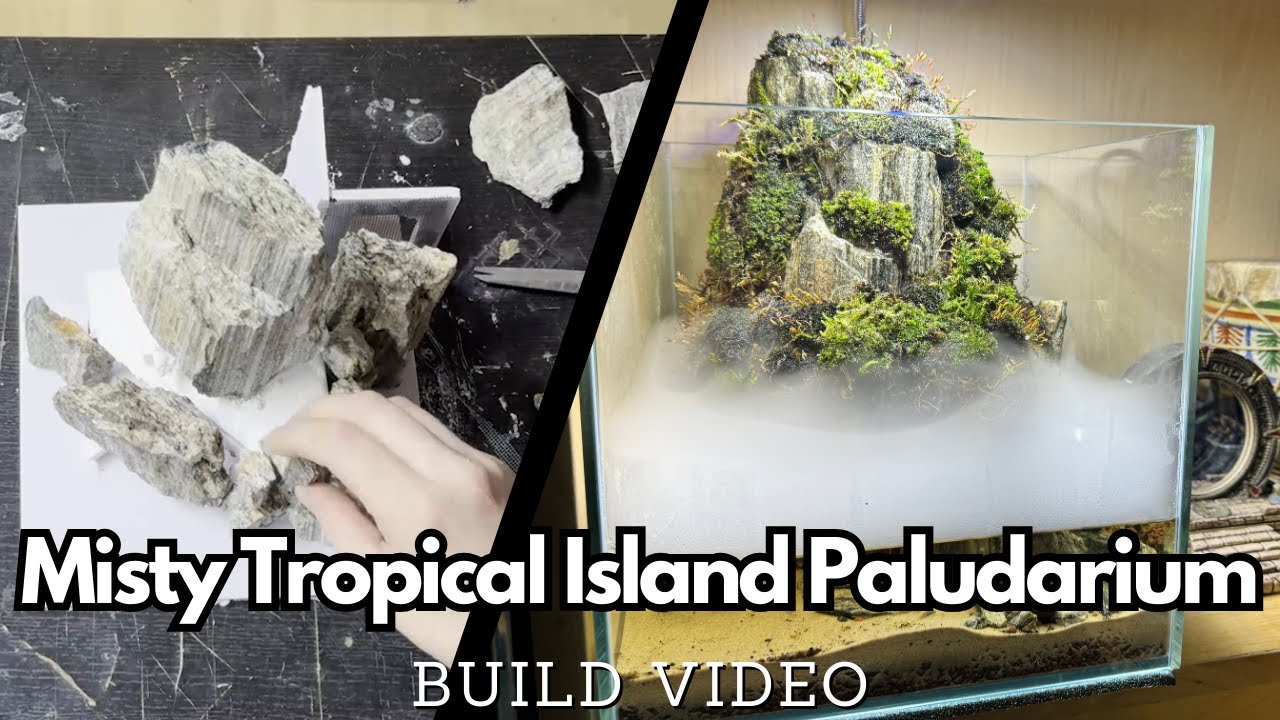 Misty Tropical Island Mini / Nano Paludarium Build
