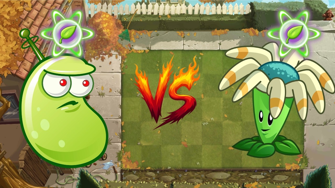 Laser Bean vs Bloomerang