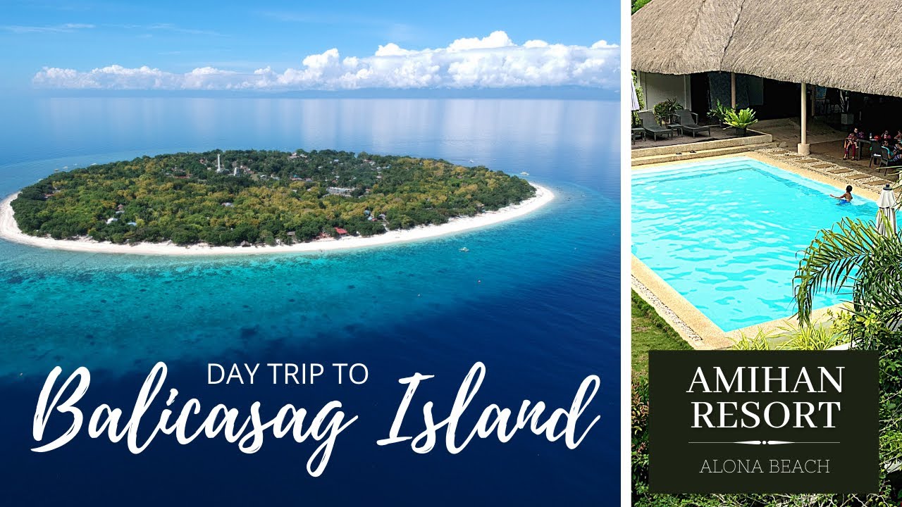 Balicasag Island Trip + Amihan Resort Alona Beach | Bohol Philippines 🇵🇭