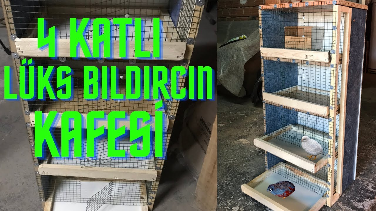 ÇİN BILDIRCINI İÇİN LÜKS KAFES YAPIMI | BEDAVAYA GELDİ