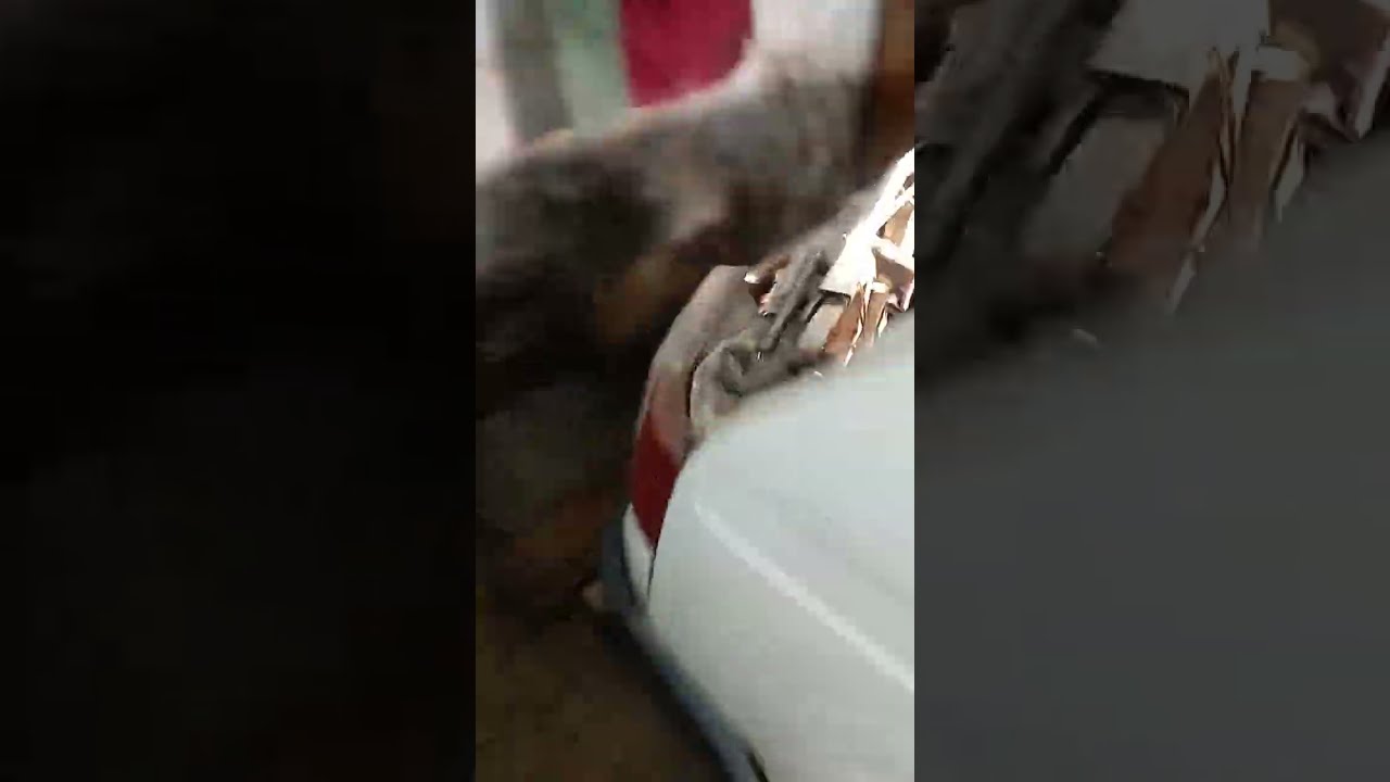 Запустил мотор форда без крышки и....))