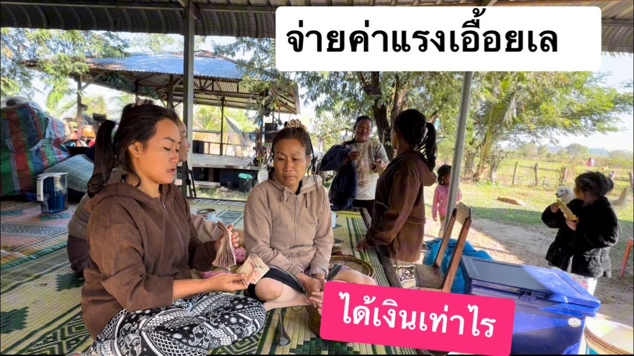 กลับมาบ้านนับเงินจ่ายค่าแรงคนช่วย