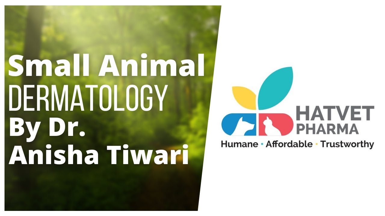 Hatvet's Webinar On Small Animal Dermatology By Dr. Anisha Tiwari - Part 1