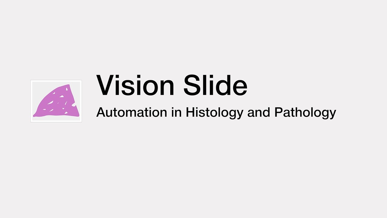 Vision Slide