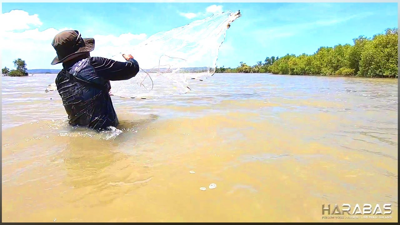 EP278-Part2 - Pandadala ng Hipon at Isda | Catch 'n Cook | Occ. Mindoro