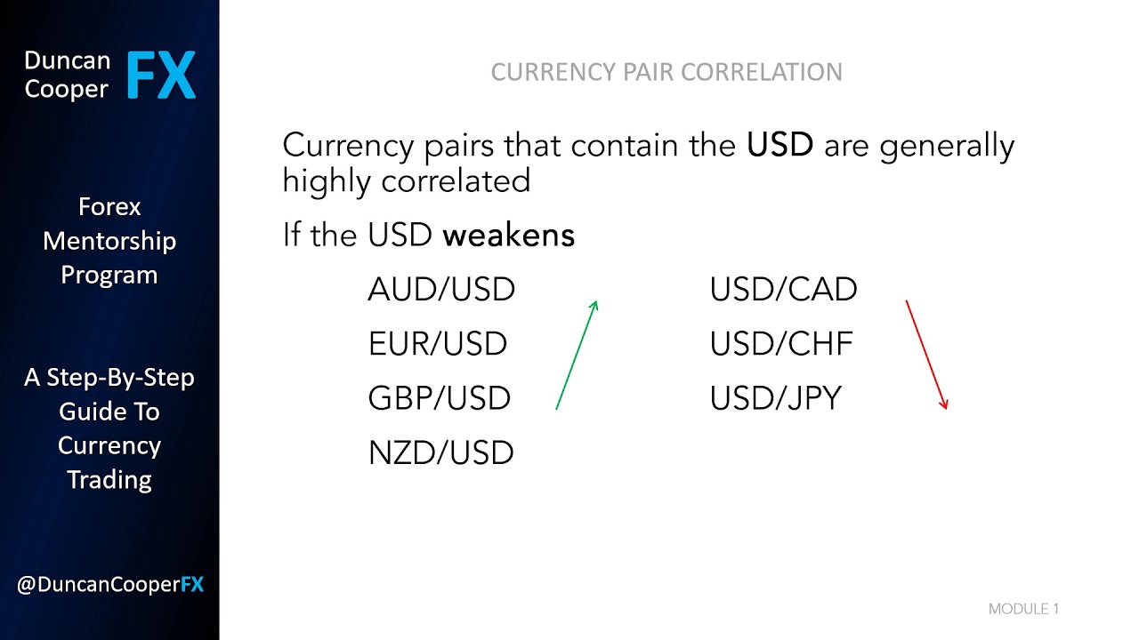 Currency Pair Correlation | Forex Trading For Beginners | Step By Step Guide | Tutorial Videos