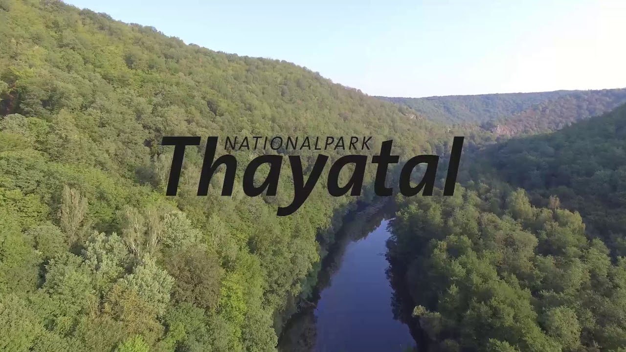 Das Thayatal von oben erleben