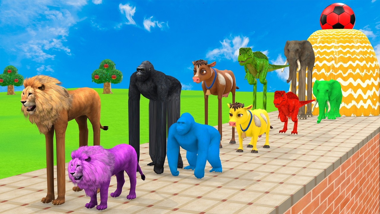 Long Slide Game With Cow Elephant Gorilla Hippopotamus Tiger 3d Animal Game Funny 3d Animals