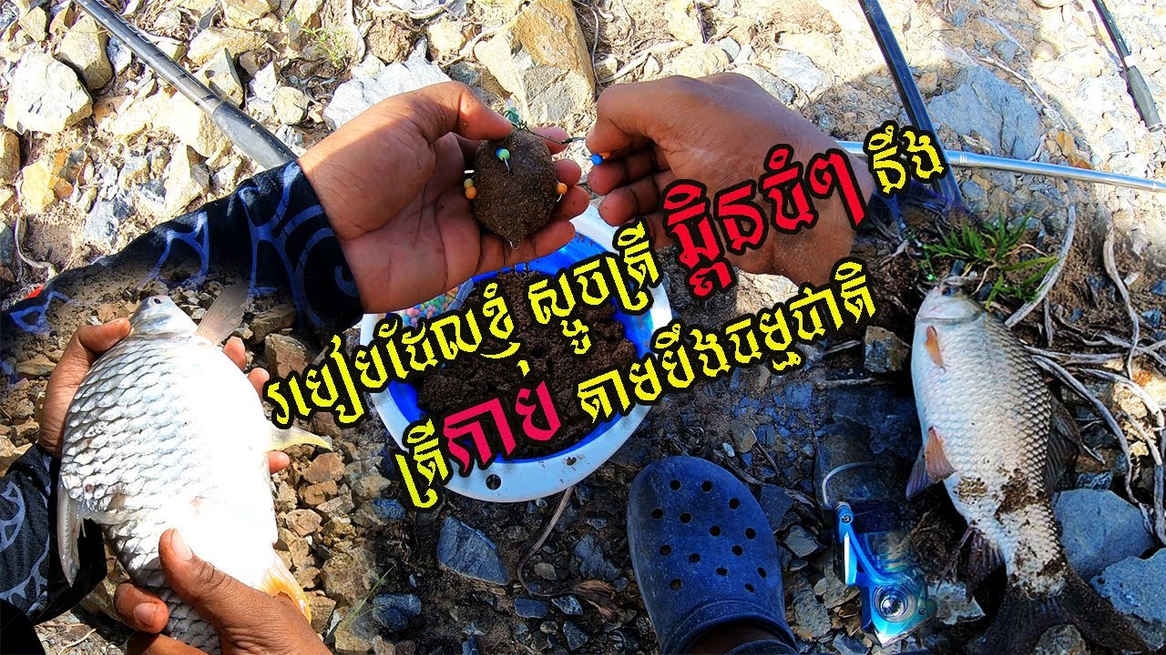 របៀបដែលខ្ញុំ ស្ទូចត្រី ឆ្ពិនធំៗ នឹង ត្រីកាប តាមបឹងធម្មជាតិ