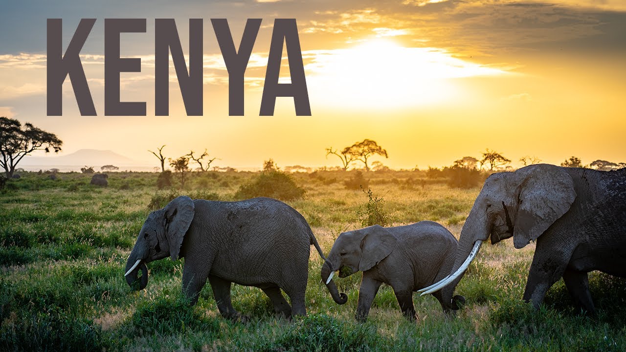 Kenyan Safari Adventure: Masai Mara, Lake Nakuru & Amboseli!