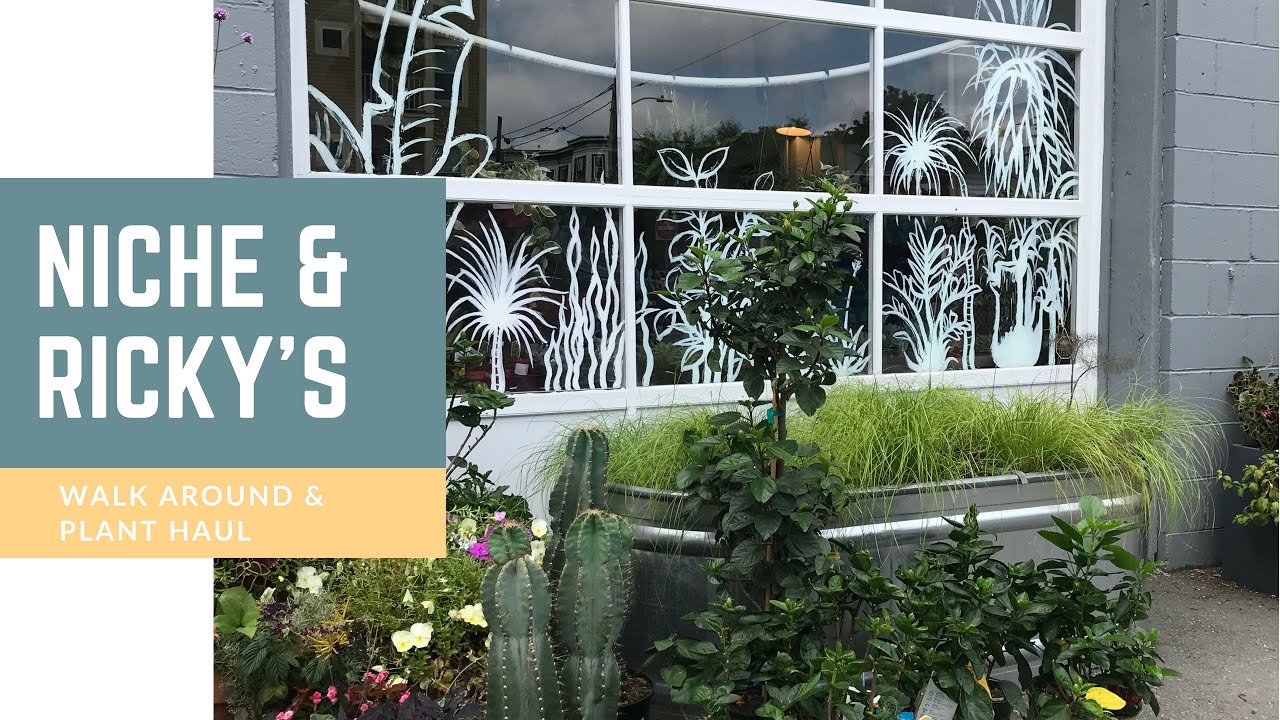 Niche Urban Garden Supply & Ricky’s Flower Market Walk Around & Plant Haul