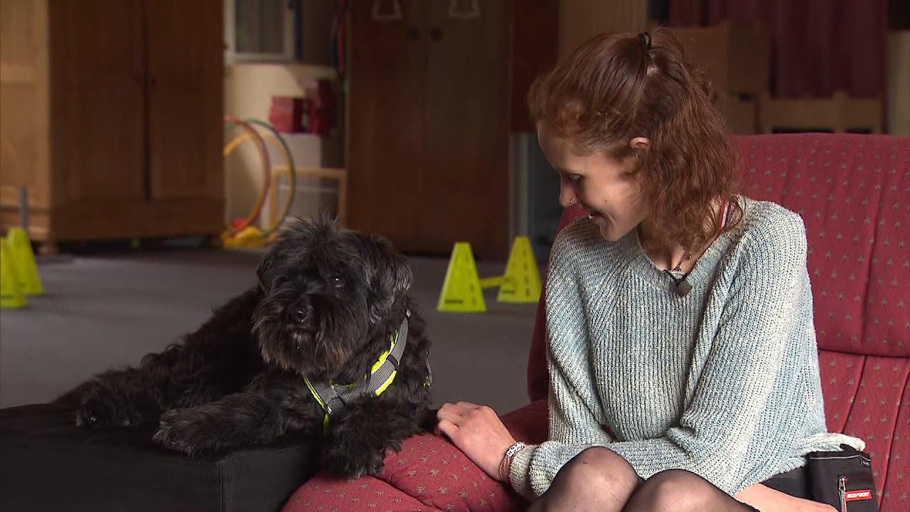 Hulphonden helpen mensen met een eetstoornis