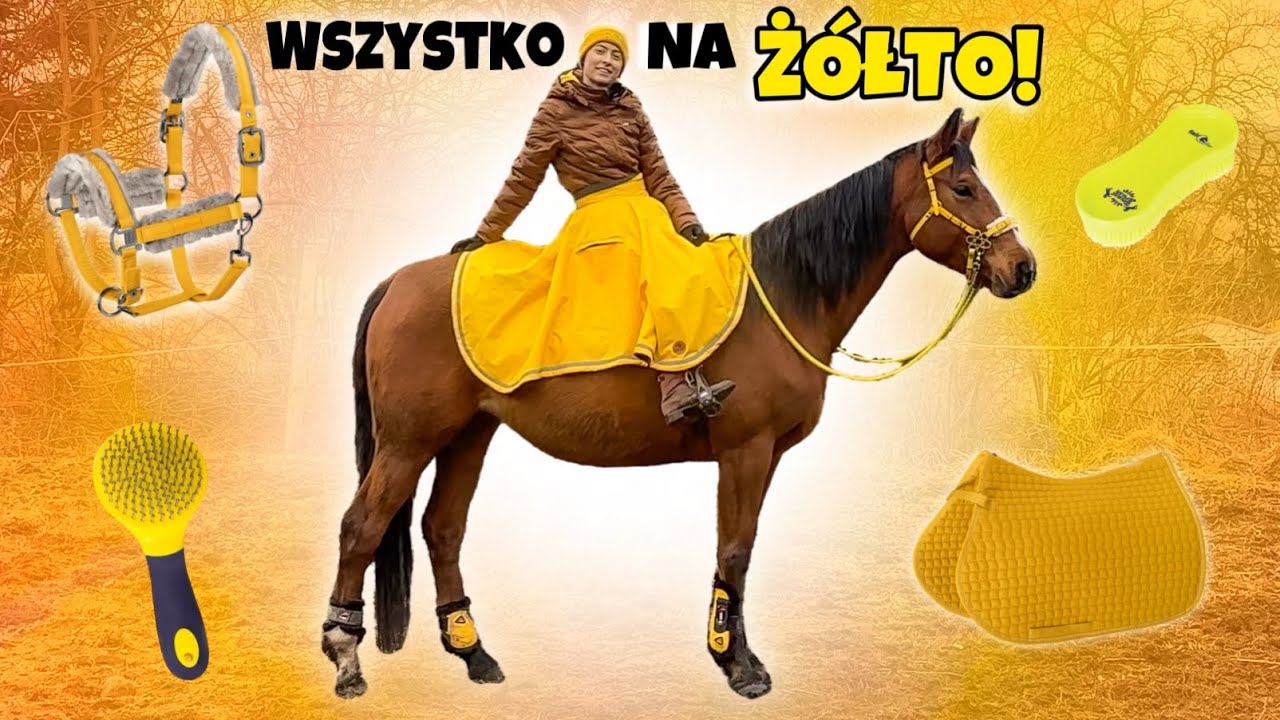 CAŁY DZIEŃ NA ŻÓŁTO!