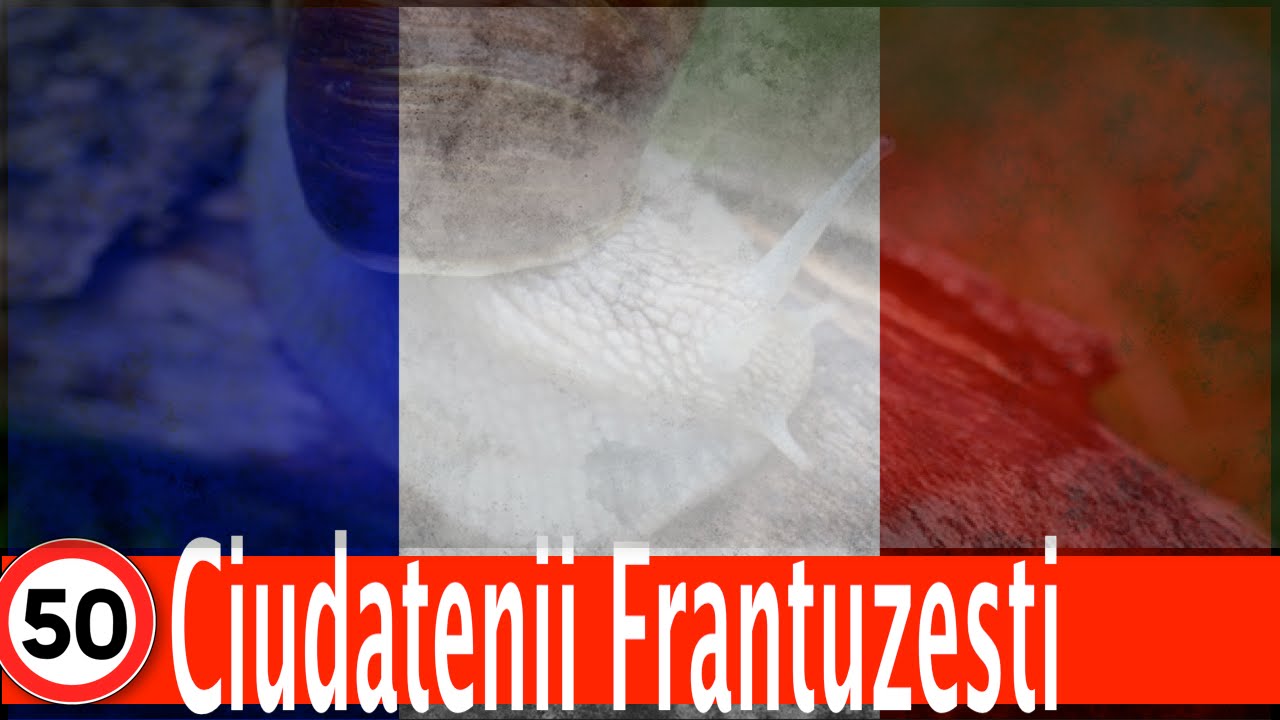 Cele Mai Ciudate Lucruri In Franta