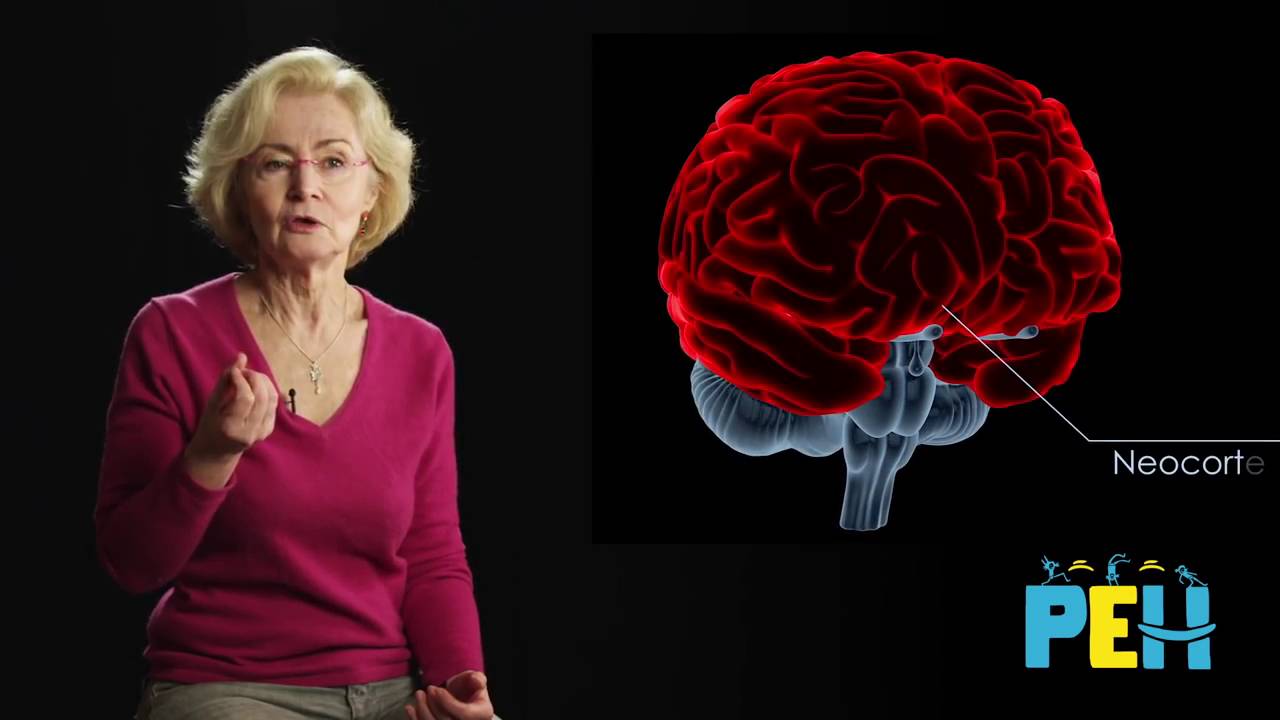 Pourquoi dit-on que le cerveau de l'enfant est immature ?