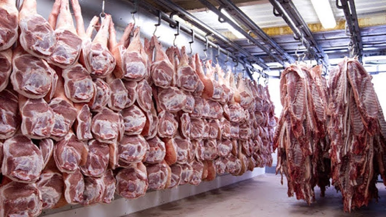 Modern Meat Grinder Automatic Machine Meat Processing Line  Commercial Meat Mincer cutter