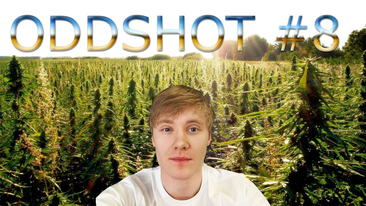 oddshot#8 Arquel nie wie co to taras? Z kim najlepiej jarać blanty?