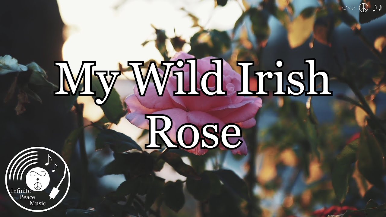 My Wild Irish Rose w/ Lyrics - Hank Locklin Version