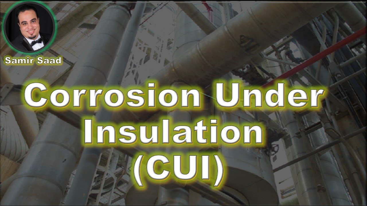 ANSI/API RP 571 Corrosion Under Insulation (CUI)