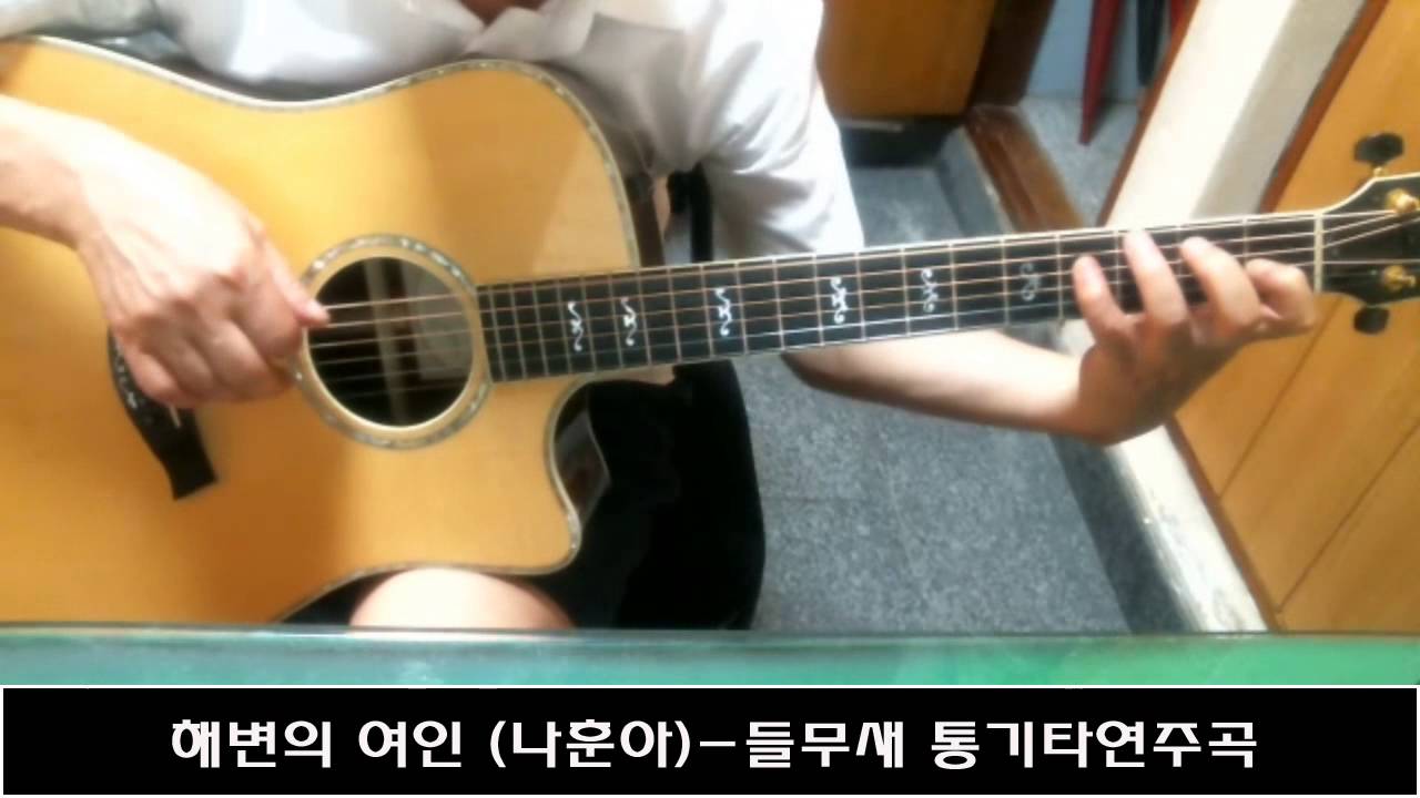 해변의 여인 (나훈아)-들무새 통기타연주곡
