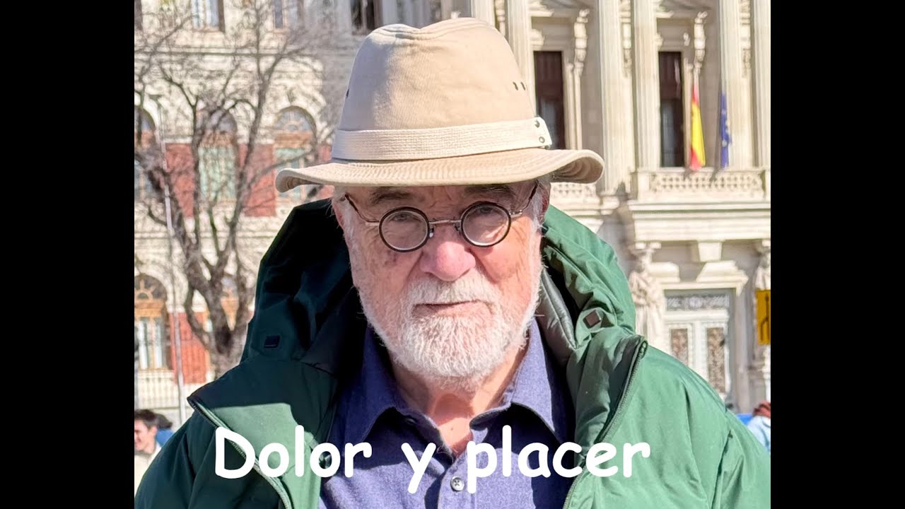 Schopenhauer: el papel positivo del dolor