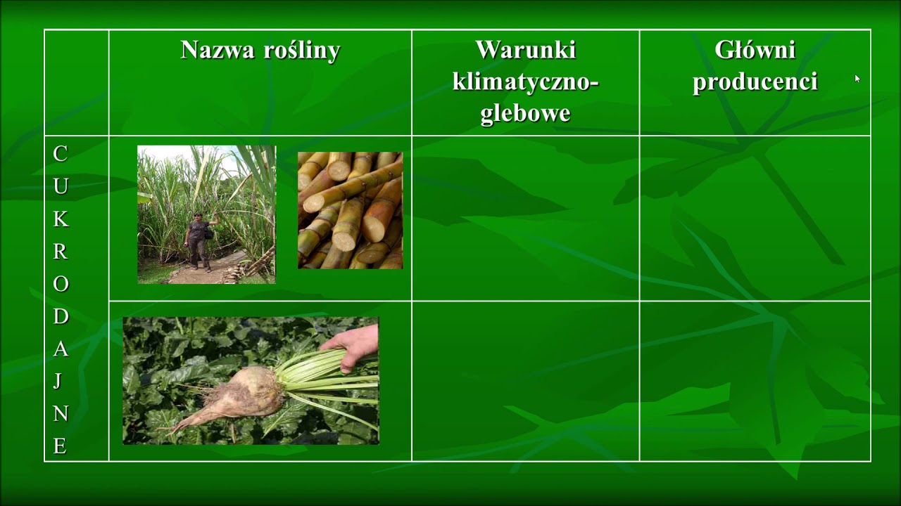3.5 Produkcja roślinna na świecie