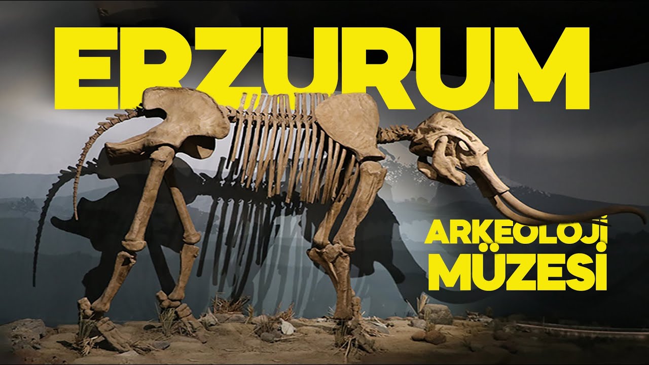 Erzurum Arkeoloji Müzesi  