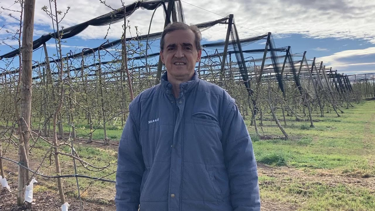 Instalación tela antigranizo 1ª parte