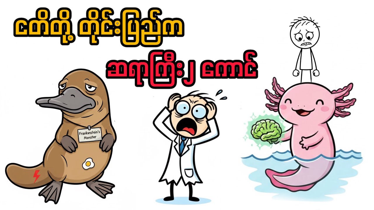 သဘာဝရဲ့ ရူးသွပ်မှု့ | animal facts part 2 