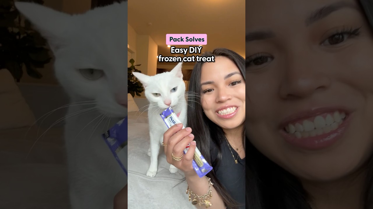 Easy Frozen Cat Treat You Need to Try | The Pack