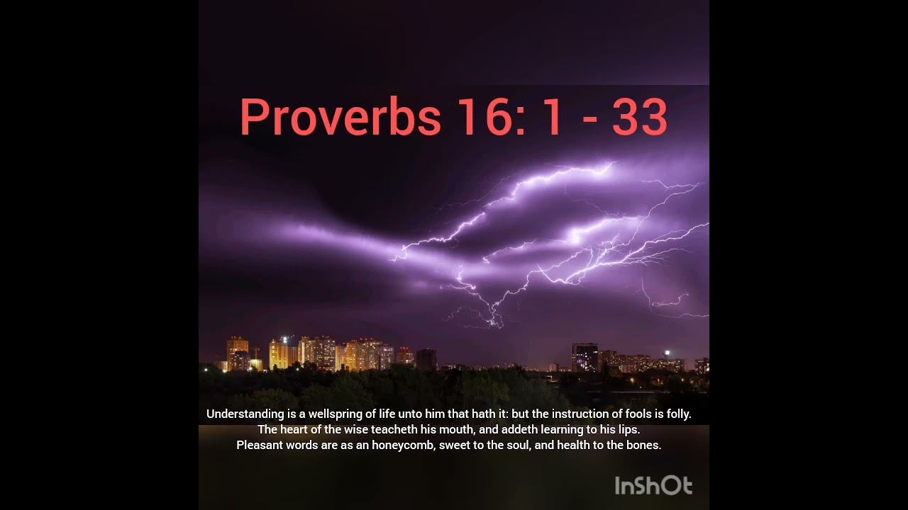 PROVERBS 16 : 1 - 33