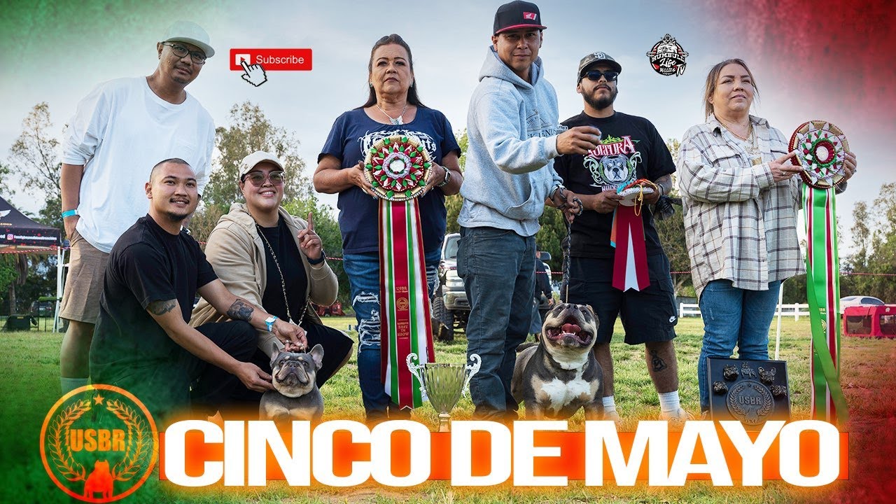 USBR CINCO DE MAYO EVENT 2023 ONTARIO CALIFORNIA | AMERICAN BULLY SHOW