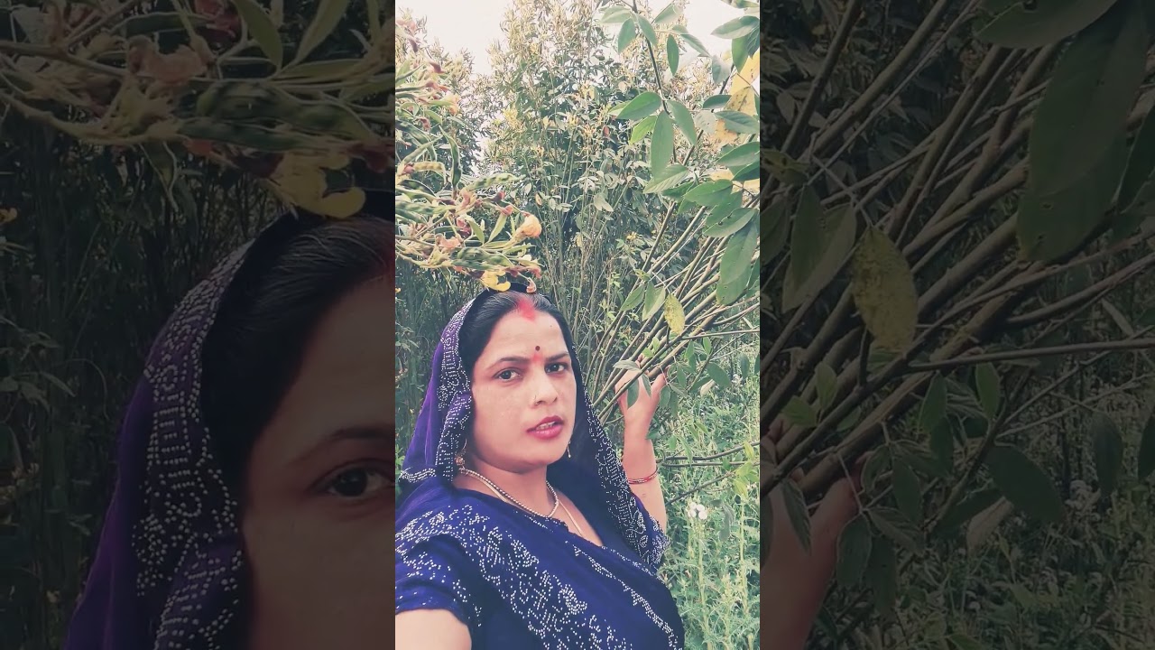 teeno lokan se nyaari Radha Rani hamari