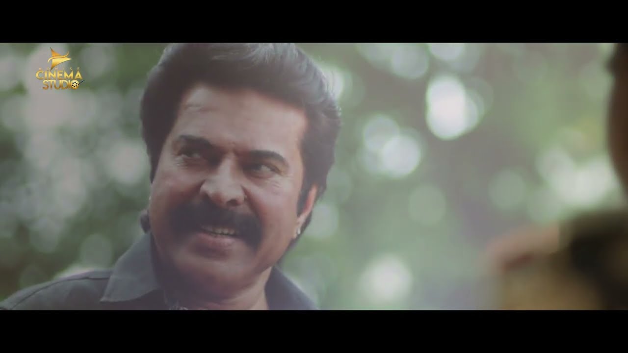 New South Movie ''BABVAR THE DON'' | New South Action Movie | New South Movie | Mammootty | South