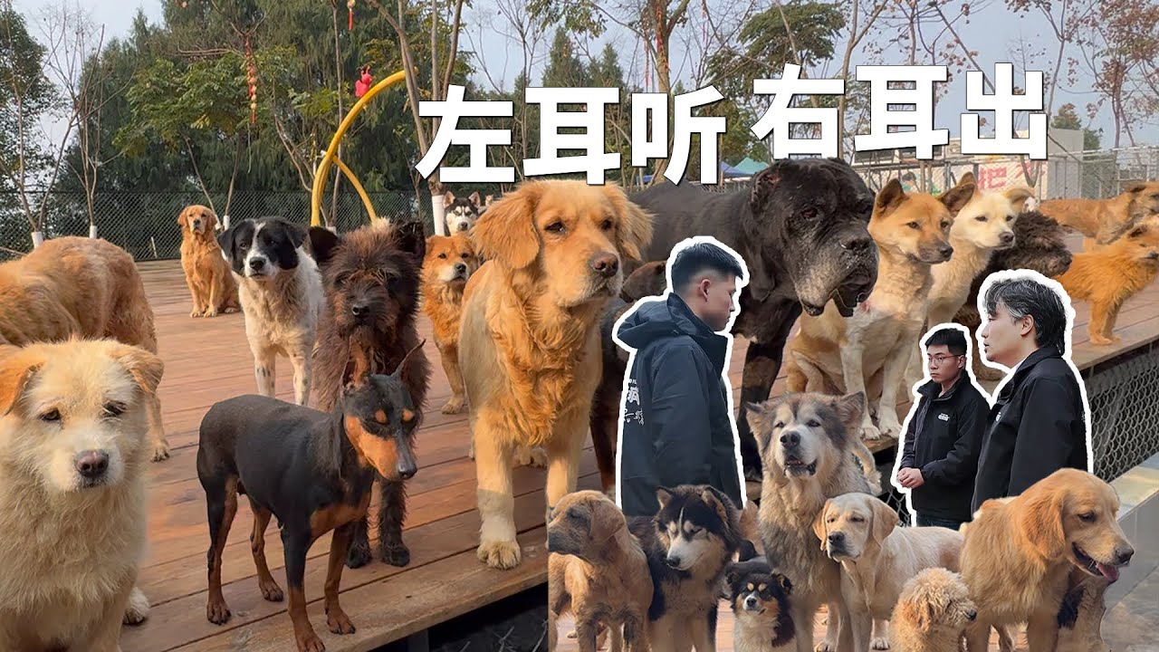 再平常不过的一天啊