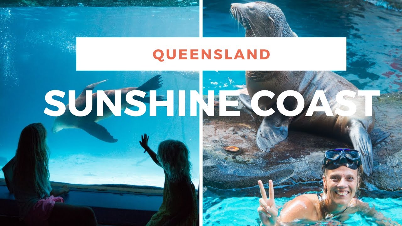 Things to do on the Sunshine Coast, Queensland with kids
