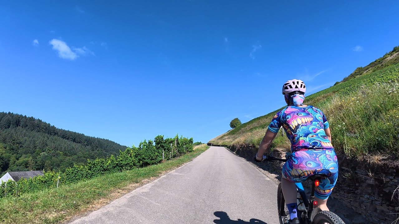 40 minute Indoor Cycling Workout Ruwer Bike Tour in the vineyards 🚵‍♀️🍷🌞4K Video