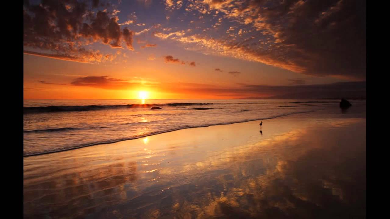 Dove Beat - La Paloma (Original Mix)