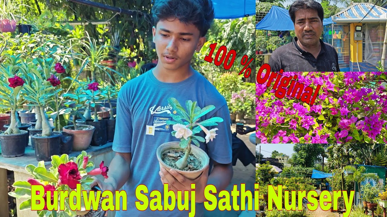 Burdwan Sabuj Sathi Nursery, West Bengal 😲😲// Full Tour 2025 // Mini Gardener 